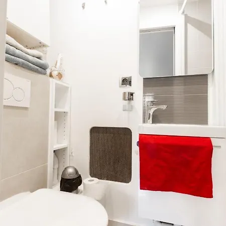 Apartment A Et Desinfection Rigoureux Du Logis *
